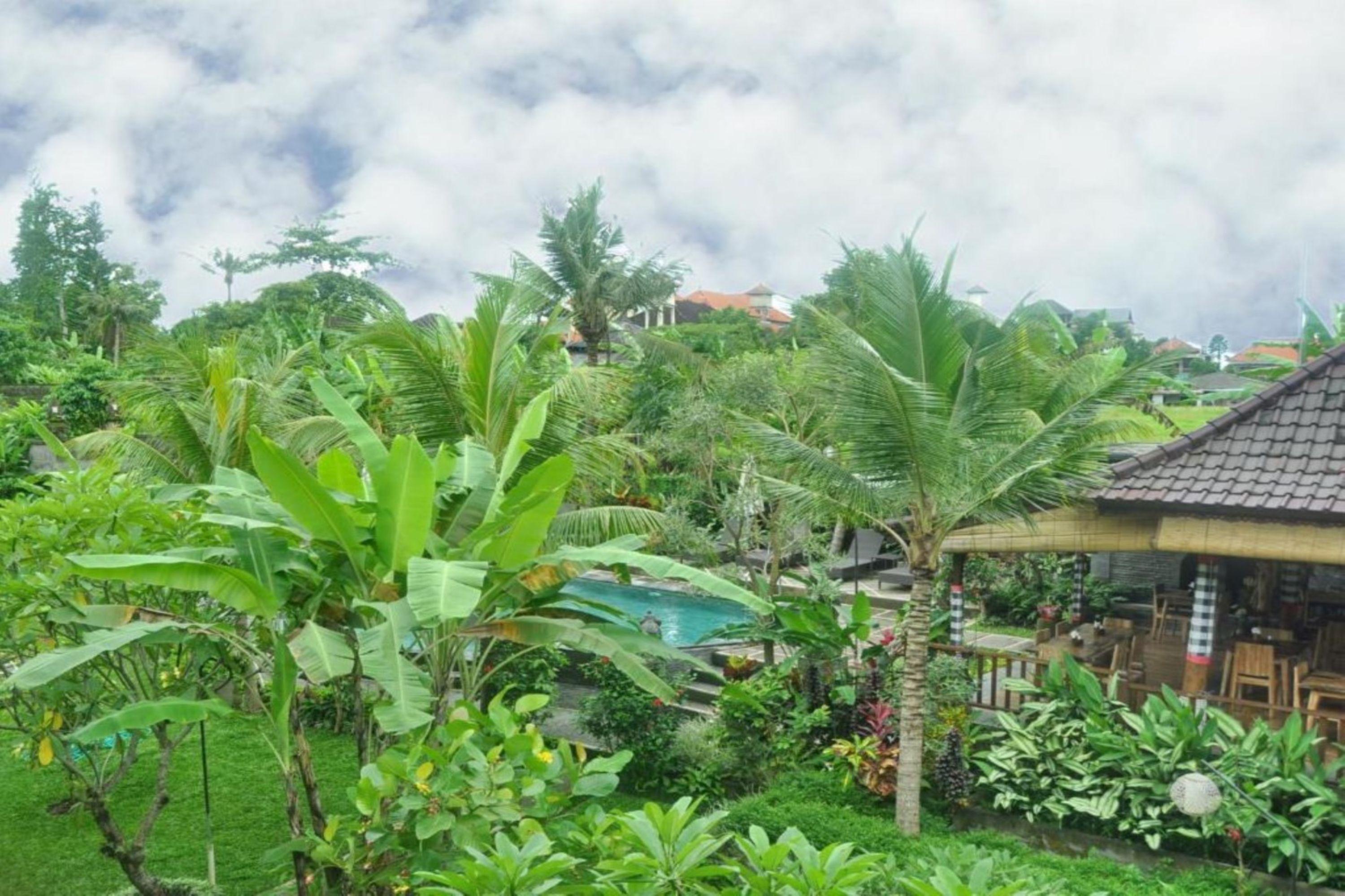 Bucu Guest House Ubud Eksteriør bilde